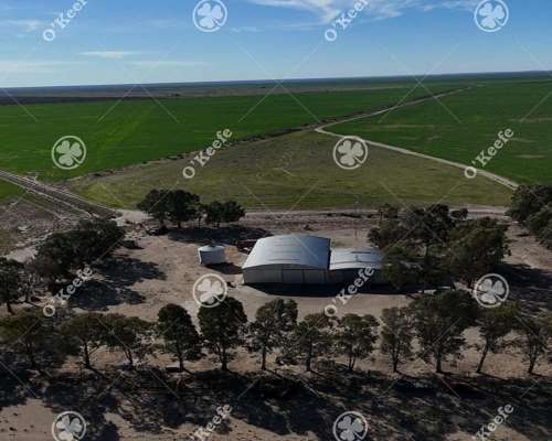 Campo en Venta 10000 Has en Patagones. Mixto