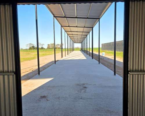 Galpones para Granja de Ponedoras