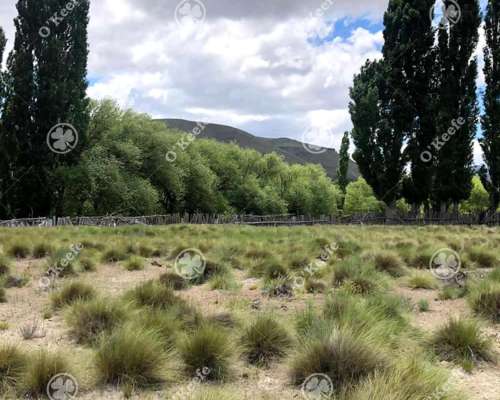 Chacras en Venta Sobre Rio Limay en Rio Negro