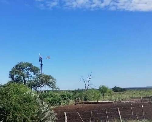 Ezn Venta Campo Ganadero 700