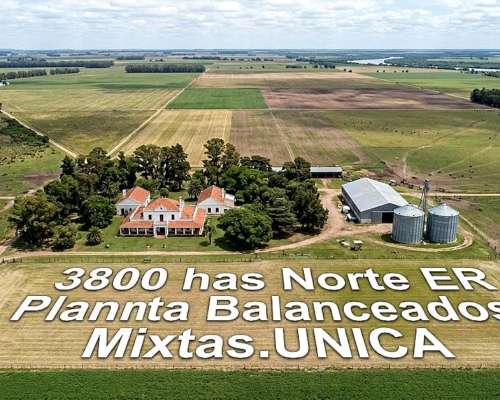 2900 Has - Ruta 127 Federal SUR - Venta