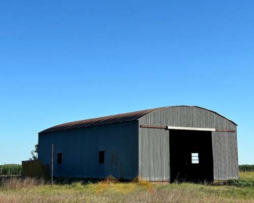262 Ha a 12 km de González Moreno, Provincia de Buenos Aires