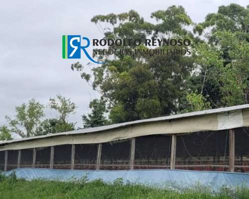 Granja Avícola de 33 Hectáreas