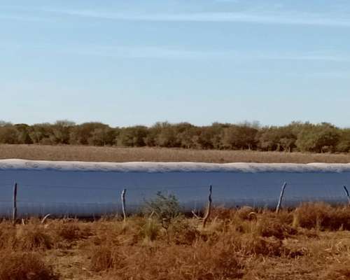 Alquilo Campo en San Luis Zona Juan Llerena