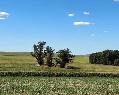 851 Has. Campo Agrícola en Tandil