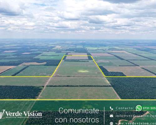 602 Has en Venta - Pcia del Chaco, las Breñas