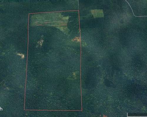 Campo de 300 Ha en Jardín América, Misiones