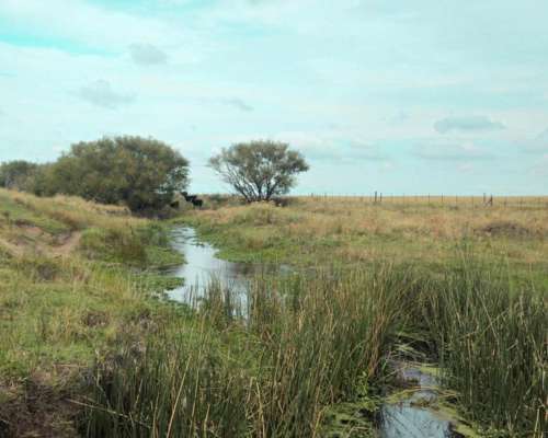 350 Ha Costa de Arroyo Sierra de la Ventana