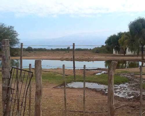 Ferlot Campo Agricola Ganadero en Catamarca Vendo