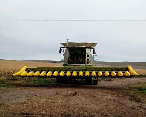 Maicero Allochis de 18 a 52 cm Hybrid Acero