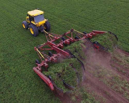 440 Has en Bengolea