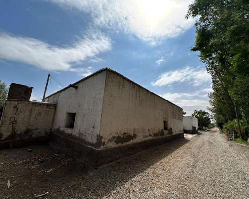 Finca en Venta 18.5has de Olivos, 3 de Mayo, Lavalle