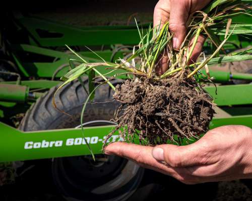 Carpidor Desmalezador Amazone Cobra