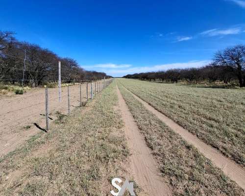 Vende: Hermoso Coto de Caza en la Pampa