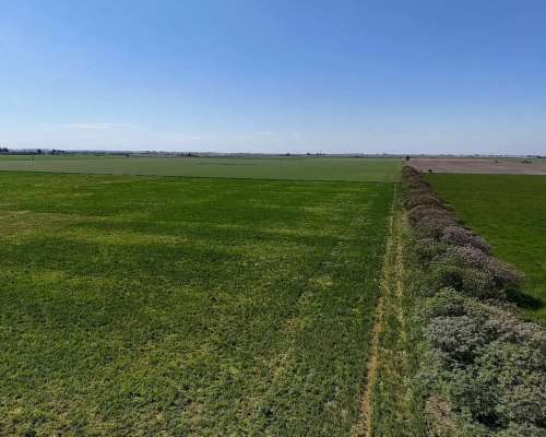 Vendo 190 Has en Coronel Bogado