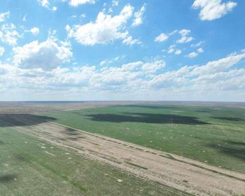 Pcia. de San Luis - Nahuel Mapa 3458 Ha