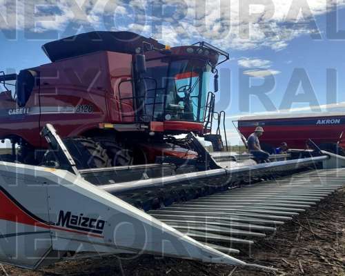 Girasolero Maizco 21/52, 2024. 230. Embocador Case