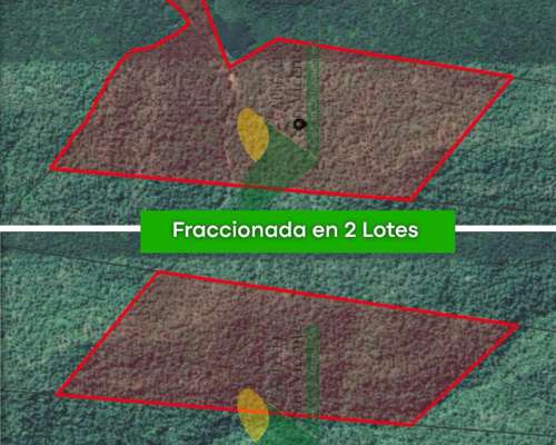 Chacra 95 Hectareas en Fracran Misiones