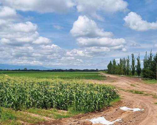 Campo en Valle de Jujuy