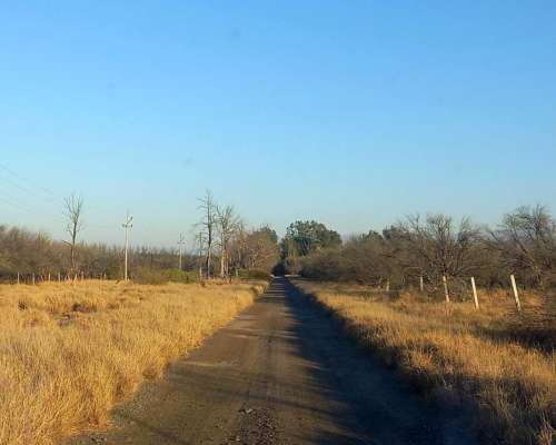 Campo con Fabrica de Aceite de Oliva en Catamarca