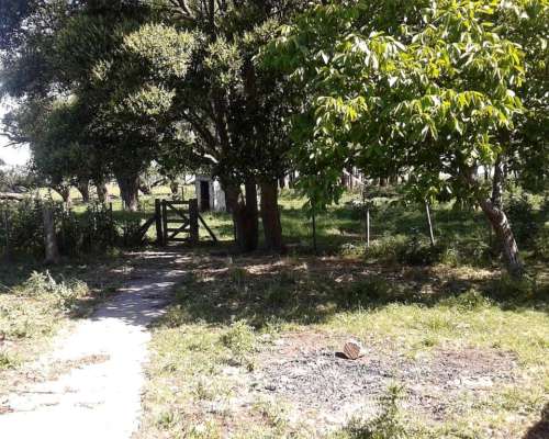 300 Has Mixtas Casa Buenas Mejoras Gral Alvear