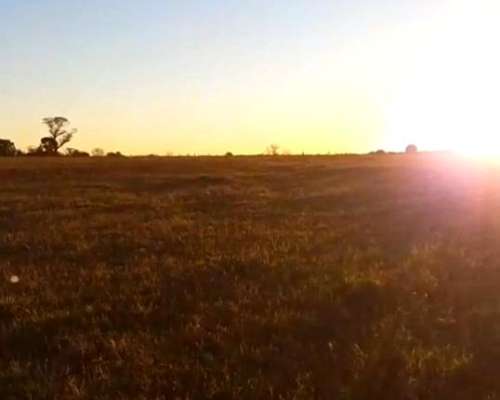 Vendo Campo 9,48 Ha en Villa LIA Areco
