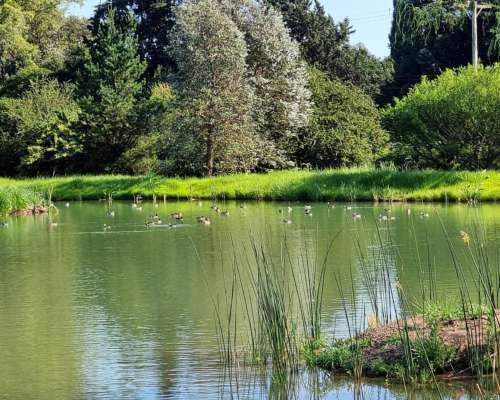 Chacra de 5 Has con Excelentes Mejoras