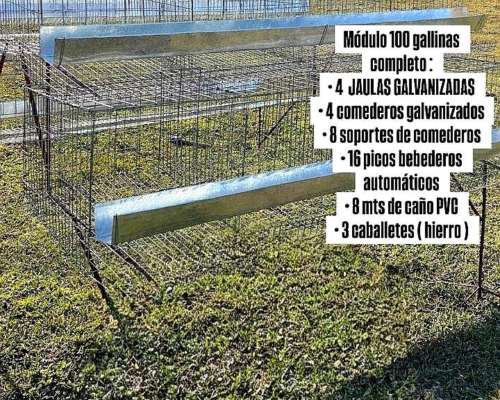 Jaulas para Gallinas Ponedoras (módulo para 100 Aves)