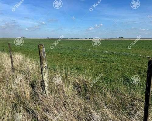 Campo en Venta de 667 Has en Gonzales Chaves