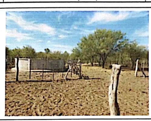 En Venta Campo Ganadero - Estancia el Quebracho