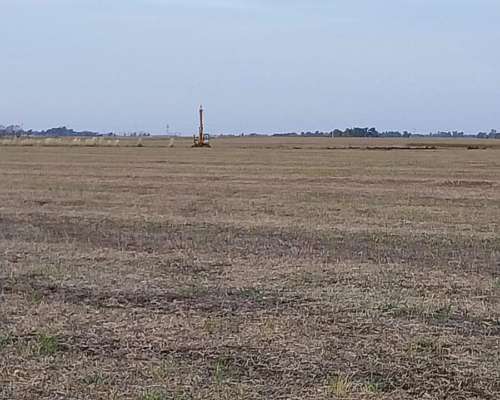 Campo en Bolivar 330 Has