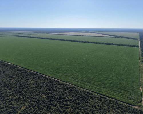 Las Tinajas, Moreno, Santiago del Estero - 2.123 Ha