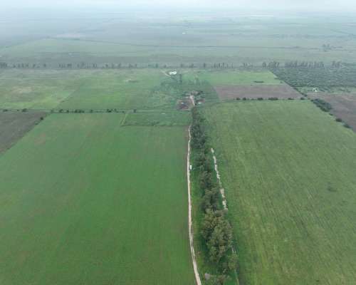 Santa Clara de Buena Vista, las Colonias, Santa FE - 179 Ha