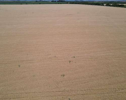 101 Hectáreas Agrícolas con Buen Acceso en Gualeguaychú.