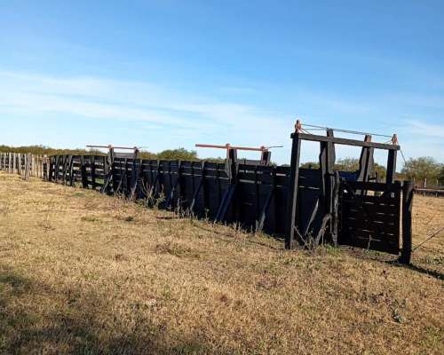 Arrandamiento de 1500 Has con Buenas Mejoras