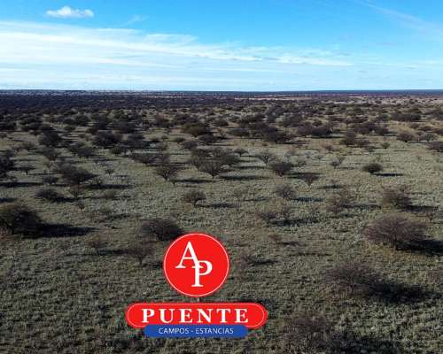 4.000 HA. Abramo, la Pampa