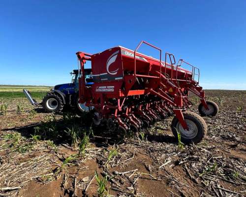 S. G. Grueso Crucianelli Gringa 7035 23 a 35 Precision Plant
