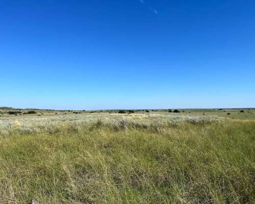 Establecimiento 2580 Ha Venta