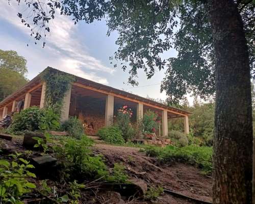 Campo 200 HA. con Rios, Casa e Internet