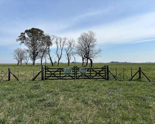 Importante Campo en Venta San Vicente