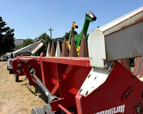 Maicero Maizco Premium de 10 a 70 cm