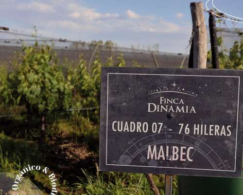 Finca Malbec con Certificación Biodinámica Demeter