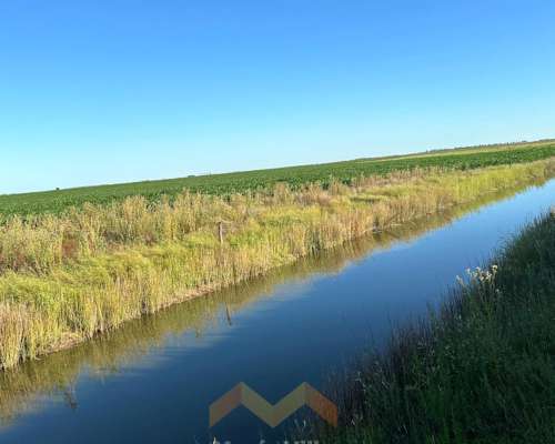 262 Ha a 12 km de González Moreno, Provincia de Buenos Aires