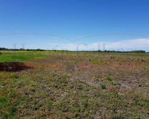 Excelente Campo Agrícola de 94 Has Ideal Loteo, km 51 Ruta 3