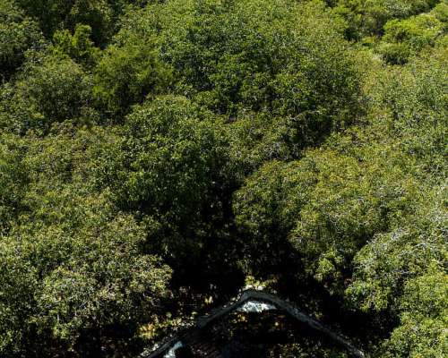 Campo-sierra-casa 242 Has con Casa, Casa Caseros, ETC