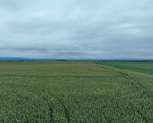 Pcia. de Catamarca - Bañado de Ovanta 437 Ha