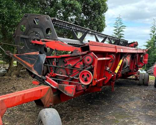 Don Roque 170, de 30 Pies