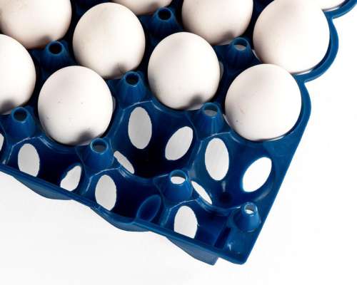 Maple Plástico 30cm X 30 cm Agrotek (bandeja para Huevos)