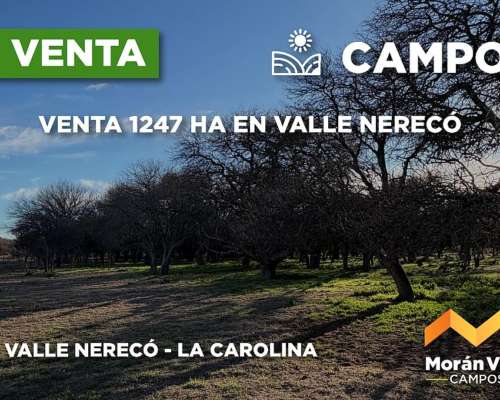 1247 Ha en Valle Nereco – la Carolina