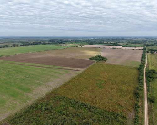 Palma Sola, Pilcomayo, Formosa - 153 Ha